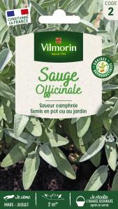 Sauge Officinale